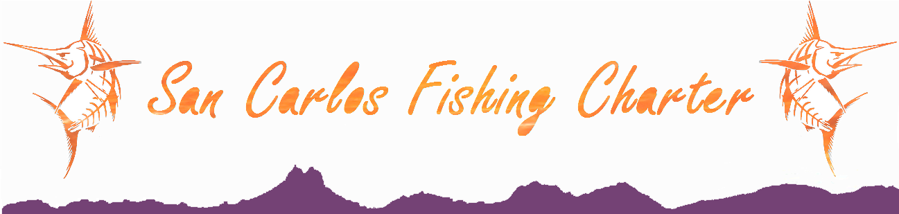 San Carlos Fishing Charter Logo